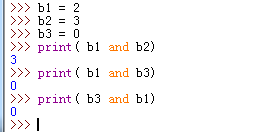 Python中有數字參與的邏輯與運算