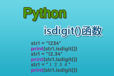 Python isdigit()函數