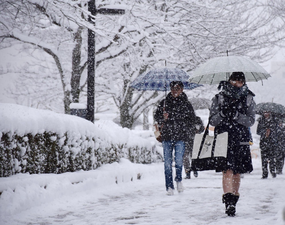 “鵝毛大雪”才是暴雪？究竟多大的雪才是暴雪？
