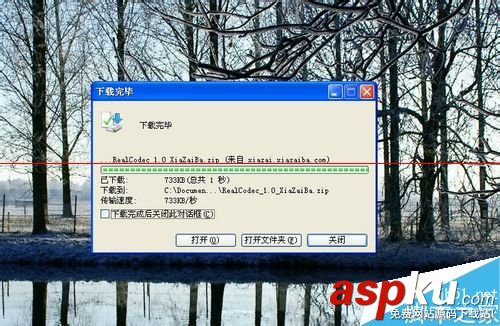 暴風影音,REAL,影音文件