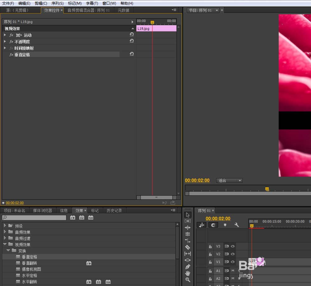 premiere,視頻