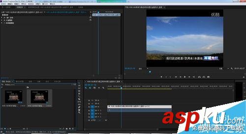 PremierePro,馬賽克