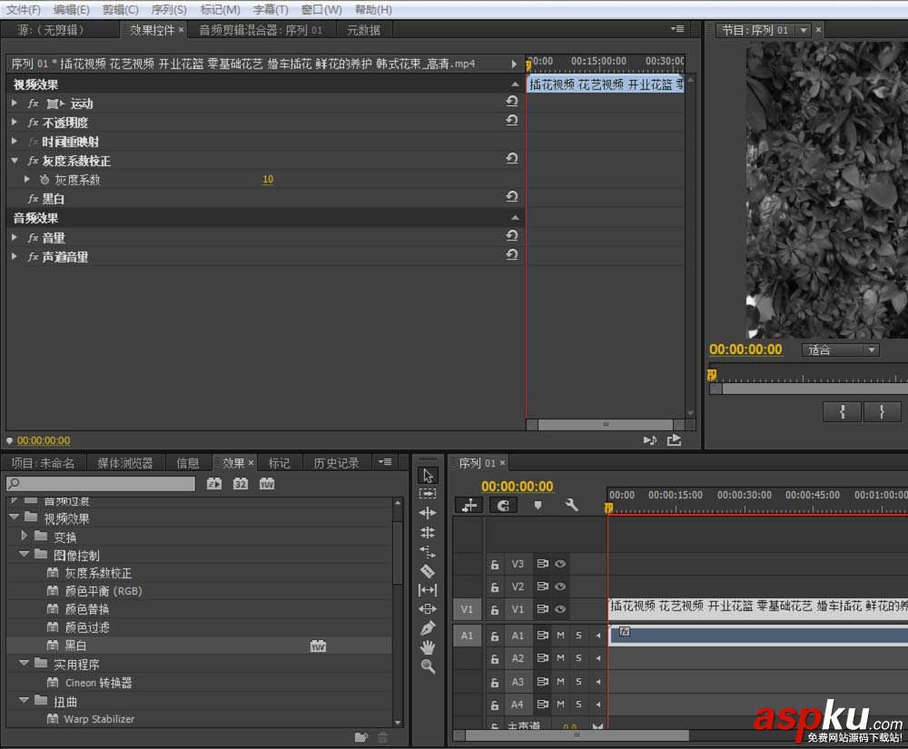 premiere,視頻
