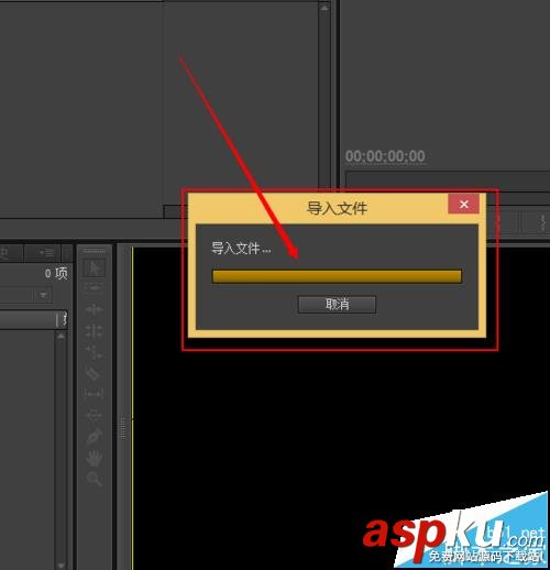 Premiere,視頻