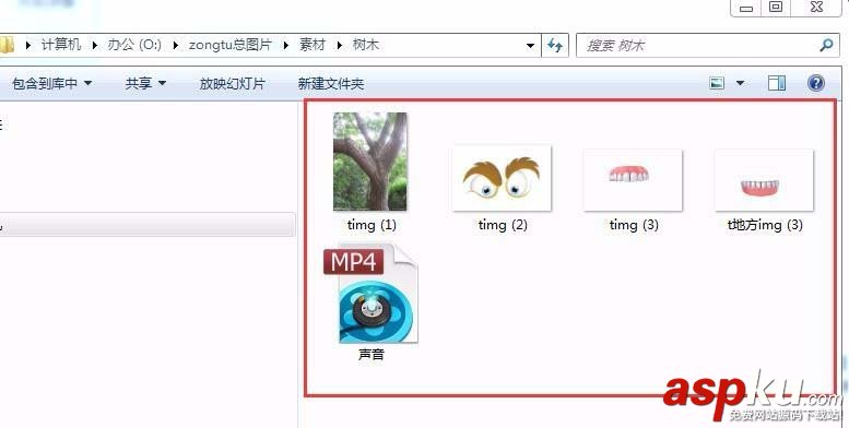 AE,大樹,動畫