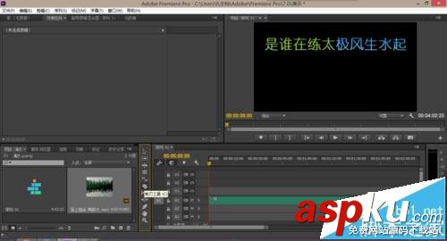 Premiere,音頻