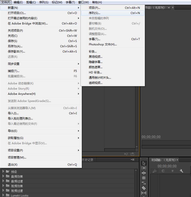 premiere,視頻