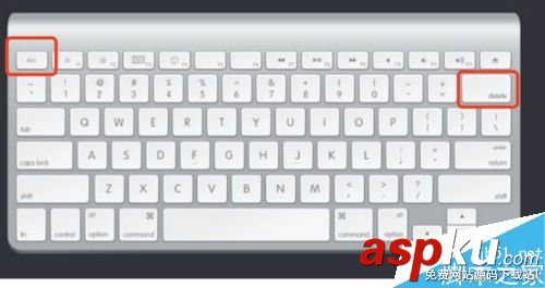 AE,字體