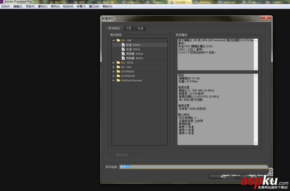 premiere,項目