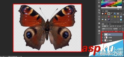 ae,ps,動畫