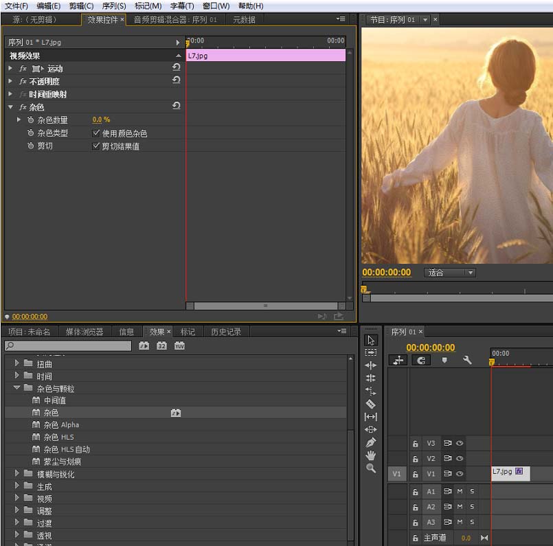 premiere,視頻,雜色