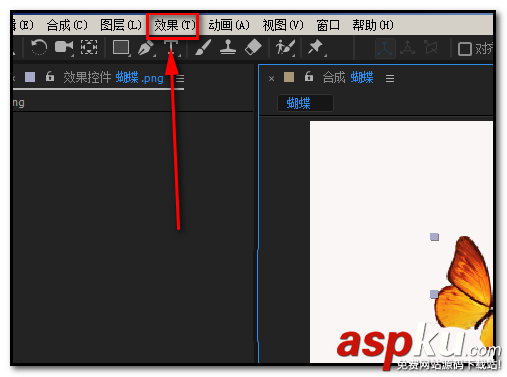 AE,圖片