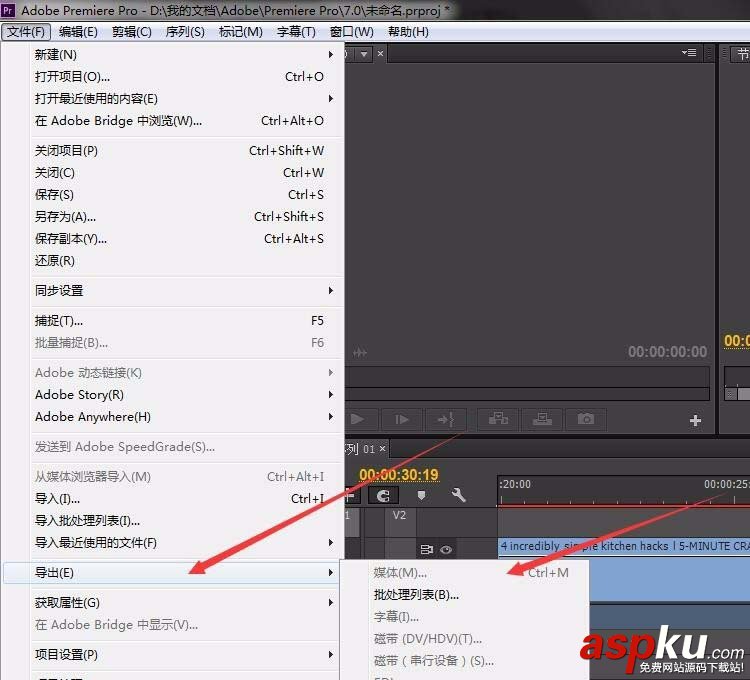 premiere,視頻