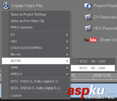 會聲會影,視頻編解碼器,AVCHD