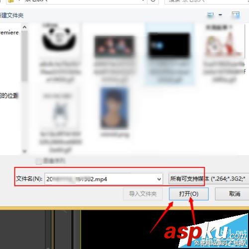 Premiere,視頻