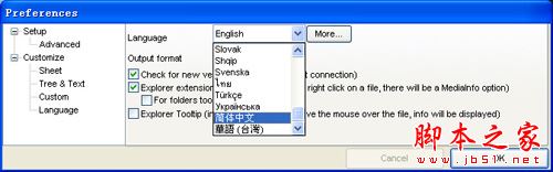 Mediainfo,視頻參數