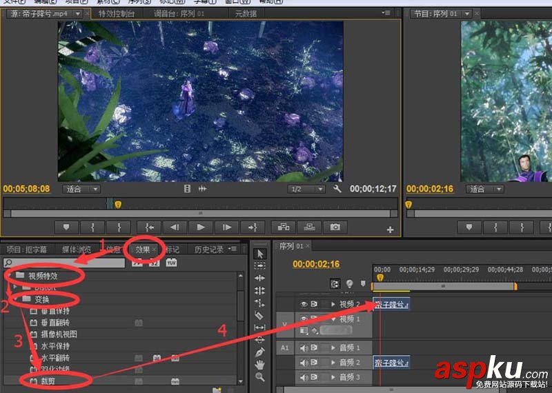 premiere,視頻,字幕