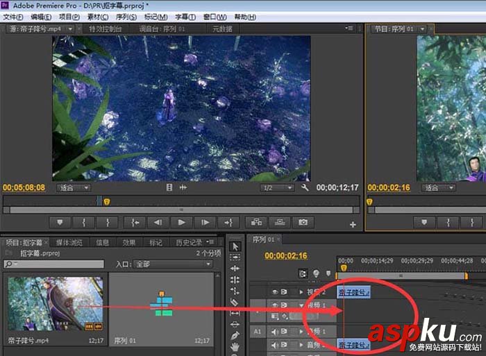 premiere,視頻,字幕