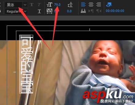 Premiere,視頻,字幕