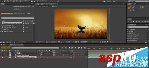 ae,ps,動畫