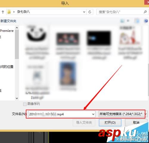 Premiere,視頻