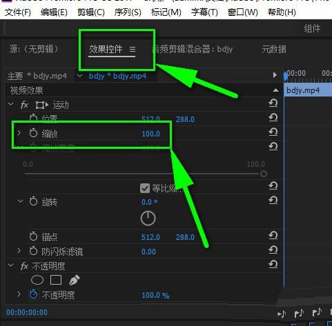 premiere,視頻,縮放