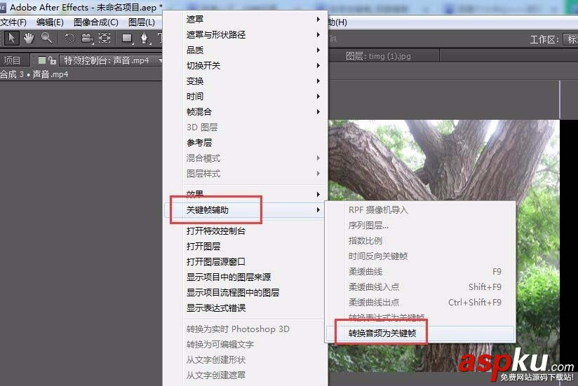 AE,大樹,動畫