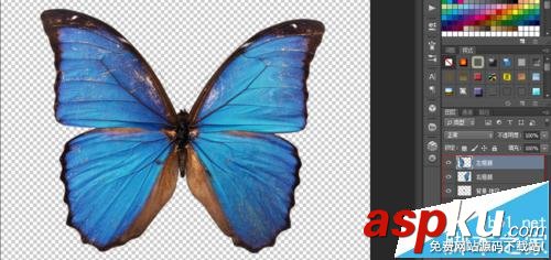 ae,ps,動畫