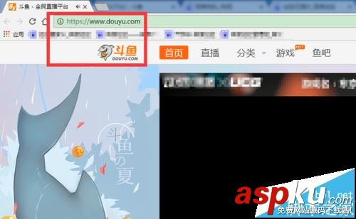 斗魚TV,斗魚直播