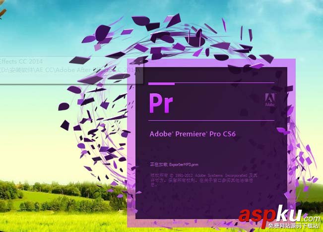 premiere,項目