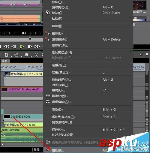 Edius,視頻