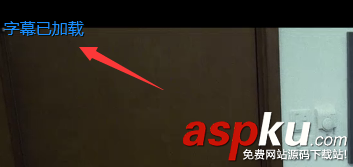 愛奇藝,字幕