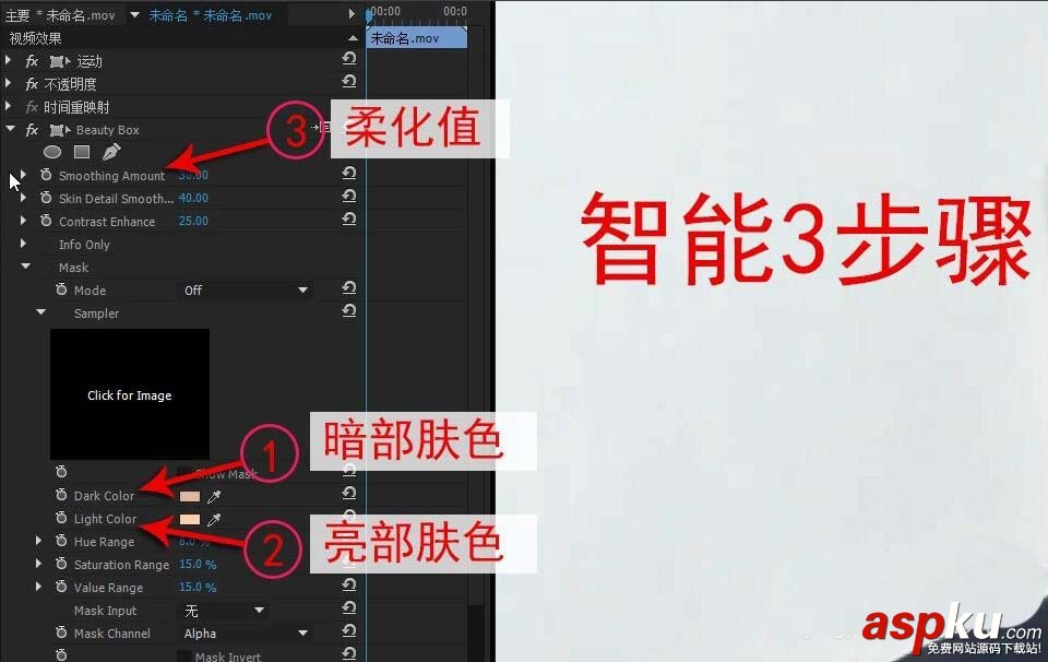 Premiere,視頻,磨皮