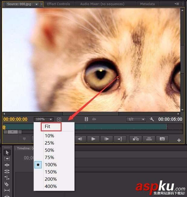 premiere,圖片