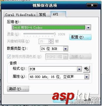 會聲會影,AVI