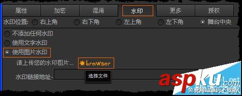 暴風影音,swf,水印
