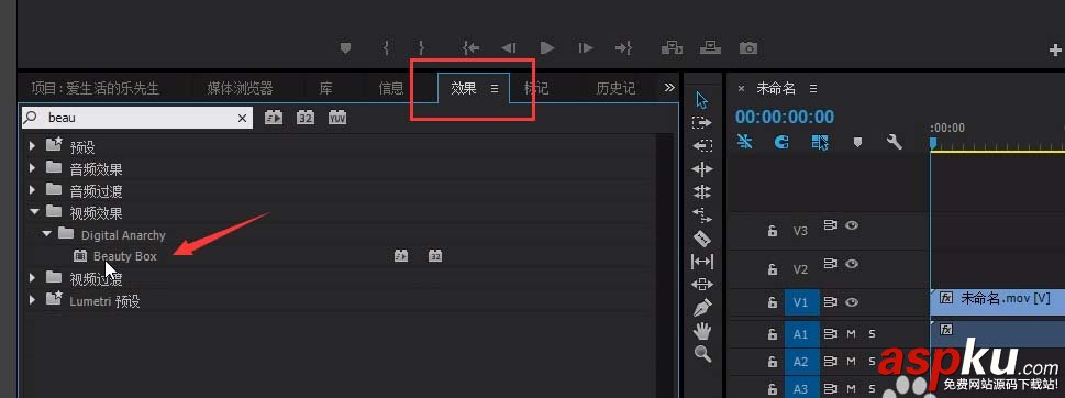 Premiere,視頻,磨皮