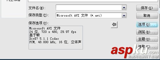 會聲會影,AVI