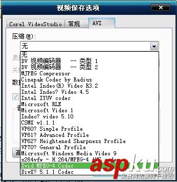 會聲會影,AVI