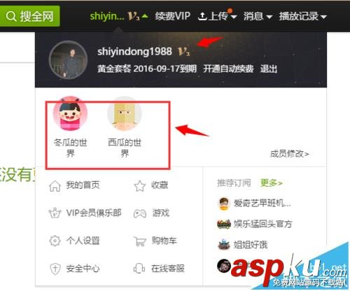 愛奇藝,VIP,家庭成員
