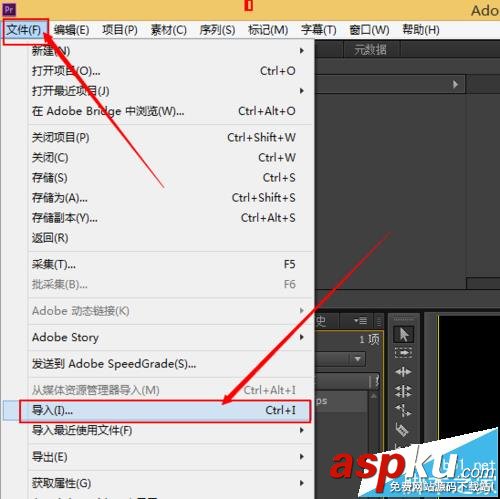Premiere,視頻