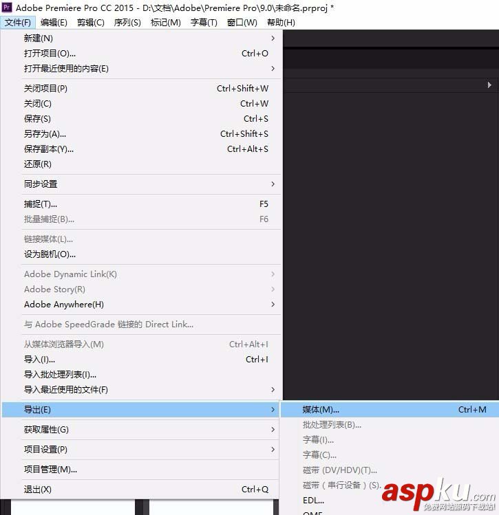 premiere,視頻