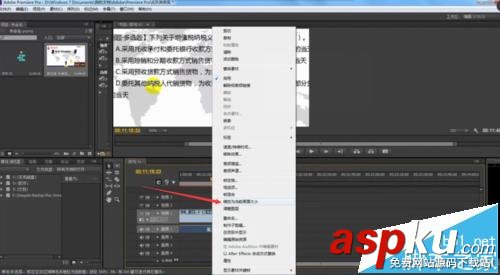 Premiere,視頻