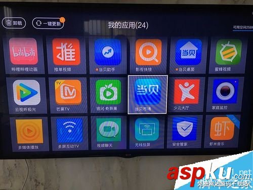斗魚,電視