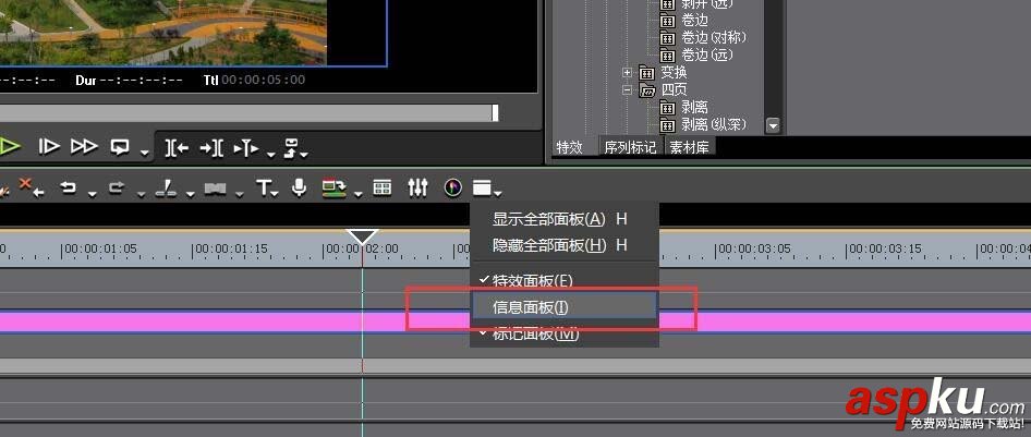 EDIUS,視頻,音頻