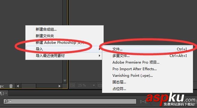 AE,音樂