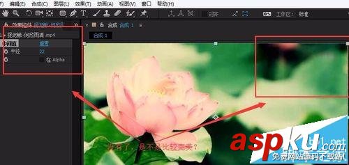 水印,AE,視頻