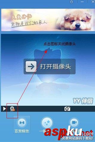 YY伴侶,視頻直播