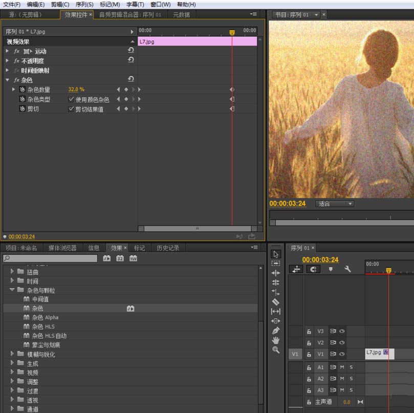 premiere,視頻,雜色