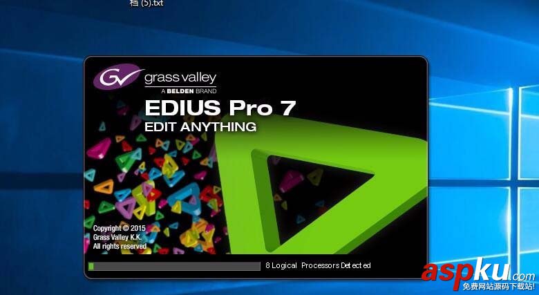EDIUS,視頻
